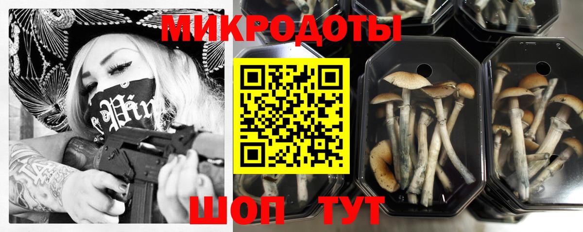 Каменск-Шахтинский  купить  цена  Галлюциногенные грибы Psilocybine cubensis  Вход с VPN  Галлюциногенные грибы Psilocybe 
