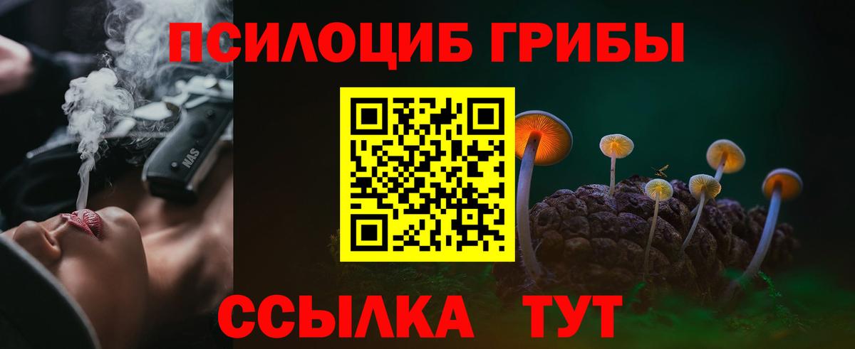 Галлюциногенные грибы Psilocybe Каменск-Шахтинский